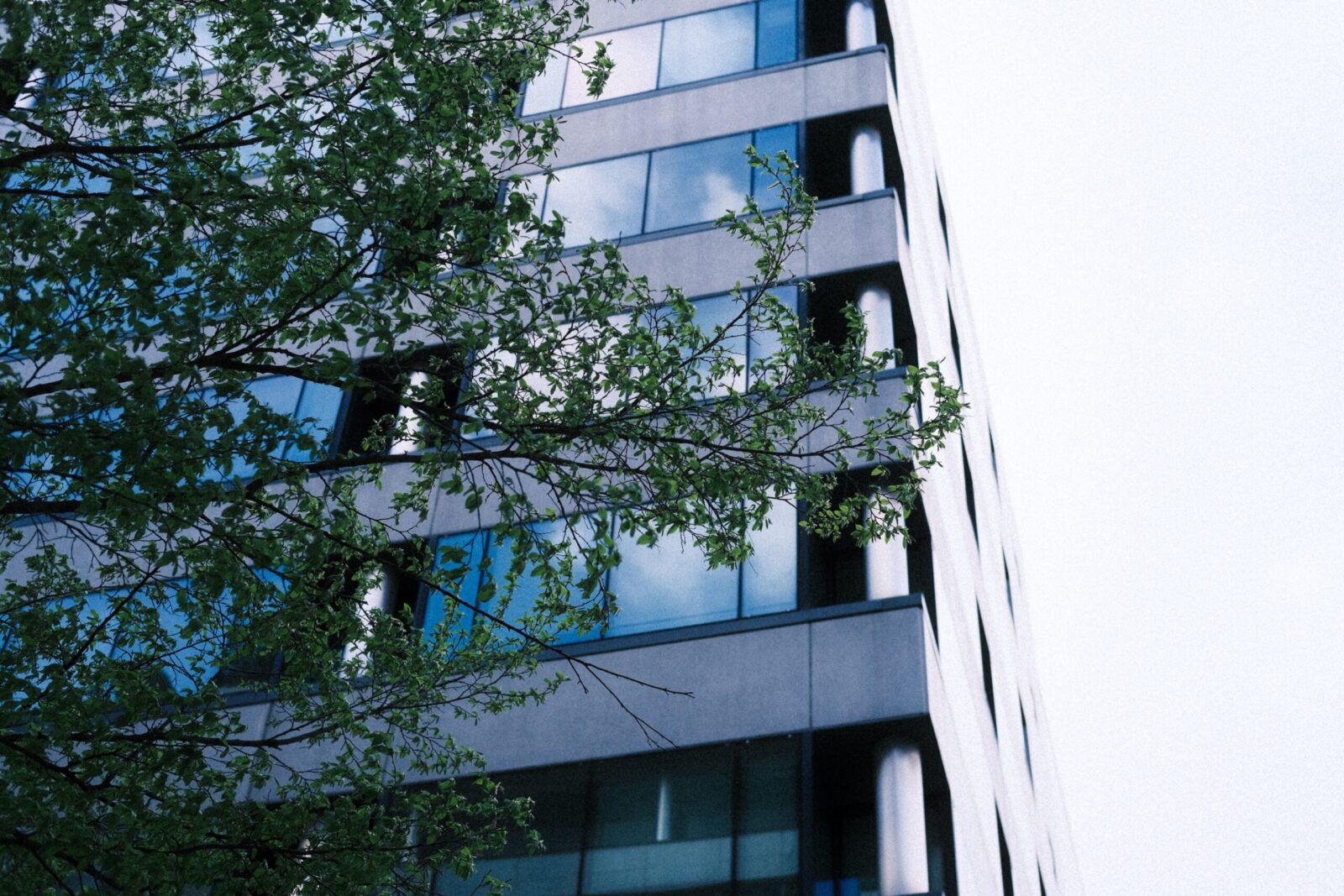 Low angle view of a modern multi-storey office building with glass panels next to green trees.